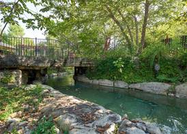 Hilton Grand Vac Club Wilderness Club at Big Cedar Ridgedale 2