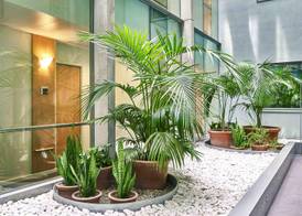 Ibis Barcelona Centro (Sagrada Familia) 3
