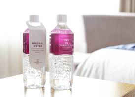 ANA Crowne Plaza HIROSHIMA by IHG 5