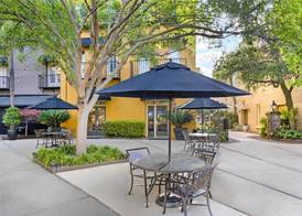 Hilton Vacation Club Lodge Alley Inn Charleston 2