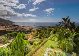 Quinta Funchal Gardens - Adults Only 2