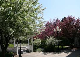 Hampton Inn Colchester 2
