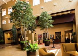 Embassy Suites by Hilton Minneapolis-North, MN 5