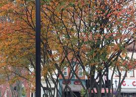 Hampton Inn Gallipolis 2
