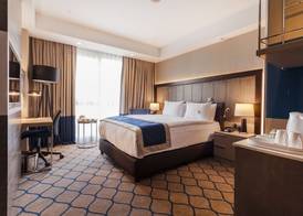 Holiday Inn KAYSERI - DUVENONU by IHG 3