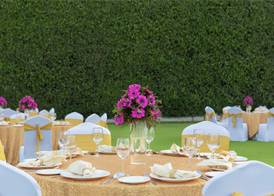 DoubleTree by Hilton Agra 3