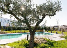 Hotel Dali Val de l'Europe, Tapestry Collection by Hilton 5