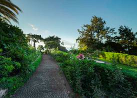 Quinta Funchal Gardens - Adults Only 3