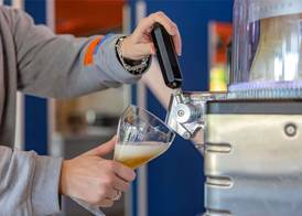 Ibis Budget Lyon Est Saint Quentin Fallavier 4