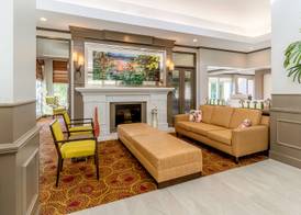 Hilton Garden Inn Houston/The Woodlands 3
