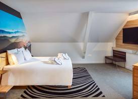 Novotel Suites Colmar Centre 5