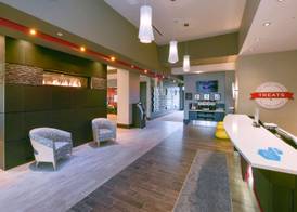 Hampton Inn Lumberton 3