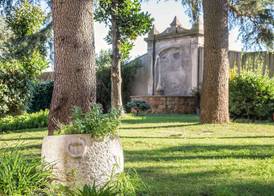 Occidental Aurelia 4