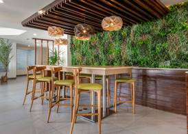 Condado Palm Inn San Juan, Tapestry Collection by Hilton 4