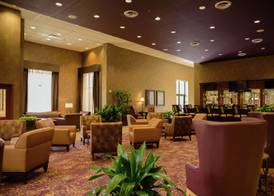 Embassy Suites by Hilton Minneapolis-North, MN 4