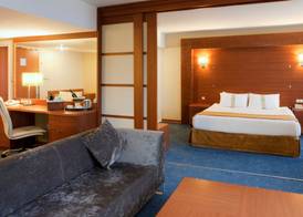 Holiday Inn ISTANBUL CITY by IHG 2