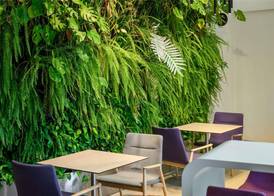 ibis Styles Budapest Airport 3