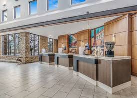 Embassy Suites by Hilton Detroit Metro Airport 3