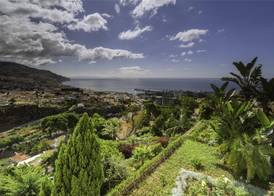 Quinta Funchal Gardens - Adults Only 2