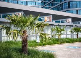 Ibis Styles Linz 4