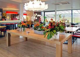 ibis Bulle La Gruyere 2