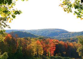 Hampton Inn & Suites Berkshires-Lenox 3