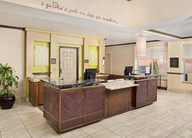 Hilton Garden Inn Hartford North-Bradley International Airport 5
