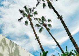 The Beverly Hilton 5
