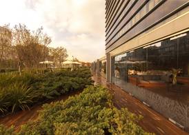 Hilton Mexico City Reforma 3
