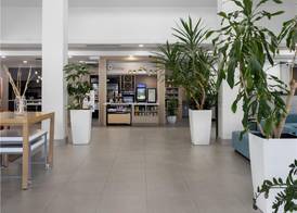 Hilton Garden Inn Chesapeake/Suffolk 3