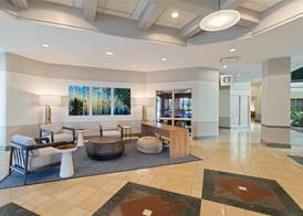 Embassy Suites by Hilton Tampa USF Near Busch Gardens 4