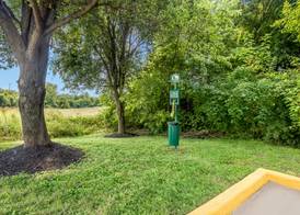 Spark by Hilton Sellersburg 3
