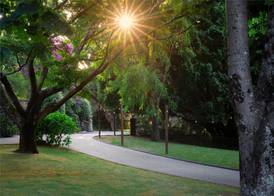 Boeira Garden Hotel Porto Gaia, Curio Collection by Hilton 4
