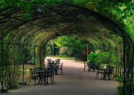 Boeira Garden Hotel Porto Gaia, Curio Collection by Hilton 5
