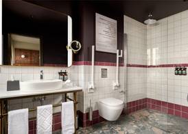 Skald Akureyri, Curio Collection By Hilton 5