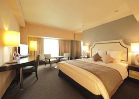 ANA Crowne Plaza KUMAMOTO NEW SKY by IHG 4
