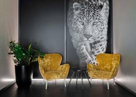 ibis Locarno 5