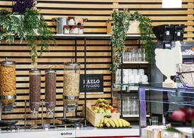 Ibis Girona 4
