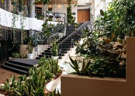 Mercure Sydney Parramatta 2