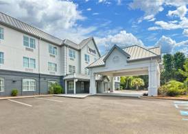 Spark by Hilton Sumter 2