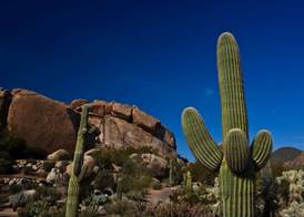 Boulders Resort & Spa Scottsdale, Curio Collection by Hilton 2