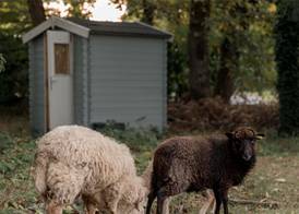 Novotel Orléans Chemins De Sologne Demeures De Campagne 4