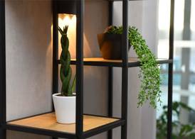 ibis Chateauroux 2