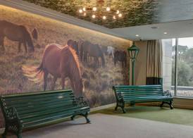 Hilton Bournemouth 3