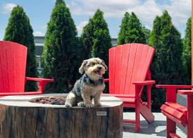 Home2 Suites By Hilton Huntsville 3