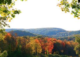 Hampton Inn & Suites Berkshires-Lenox 2