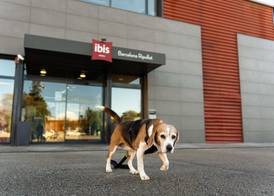 Ibis Ripollet 2