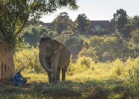 Anantara Golden Triangle Elephant Camp & Resort 3