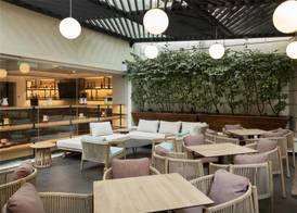 Hilton Garden Inn Mexico City Polanco 5