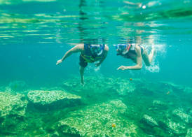 Sandos Caracol Nature Resort & Water Park All Inclusive 5